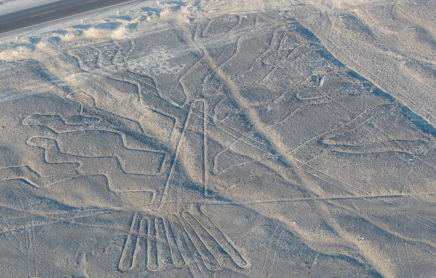 ENIGMATIC FIGURES OF NAZCA AND PALPA